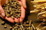 free Ready Token biomass boiler quotes